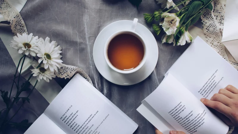 Relecture de manuscrit et livre : guide, conseils et devis
